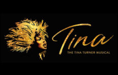 Tina: The Musical